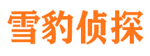 宁夏外遇调查取证